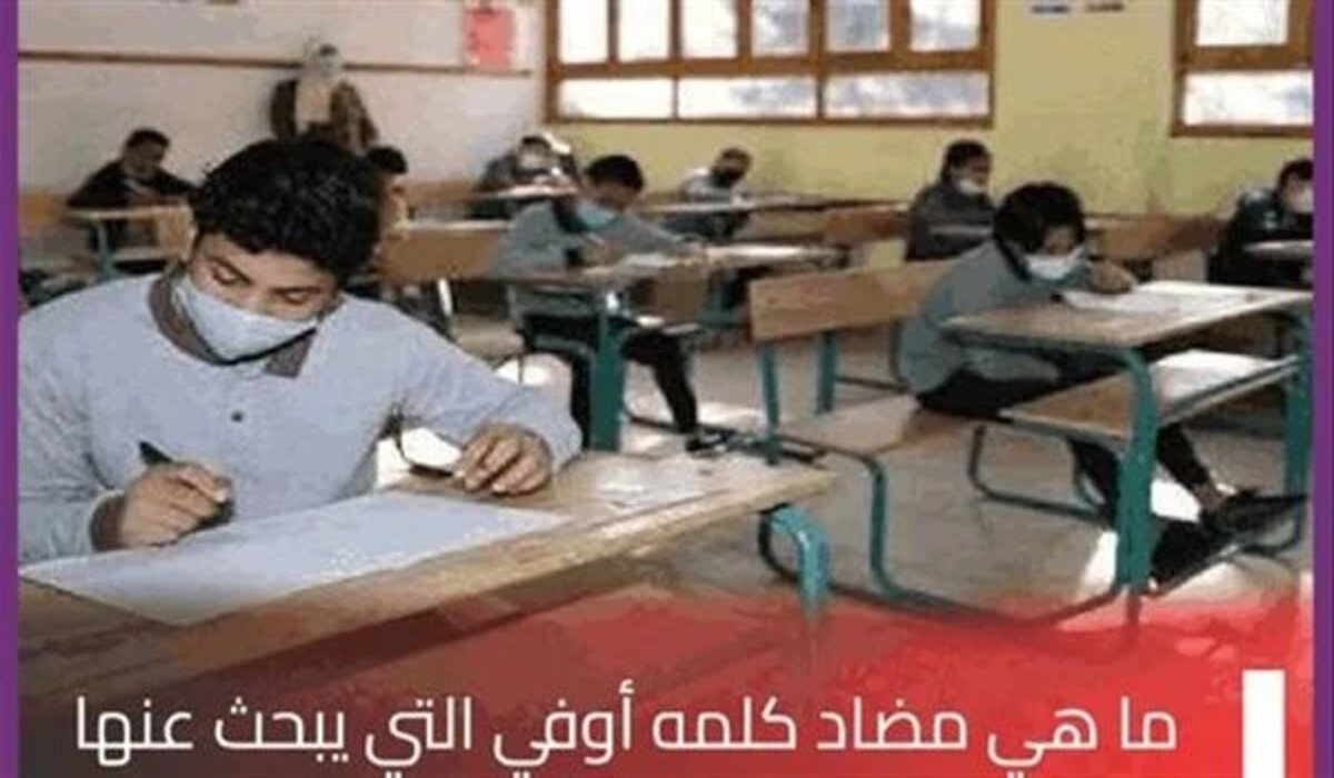 ما مضاد كلمة اوفي؟ .. أساتذة اللغة العربية للصف الأول الثانوي تحسم الجدل