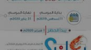 وزارة البيئة والمياه والزراعة تحدد موعد انطلاق موسم صيد الروبيان