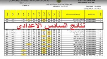 كيفية الاستعلام عن نتيجة عبر نتائجنا السادس الاعدادي 2024 برقم الجلوس؟..وزارة التربية العراقية توضح