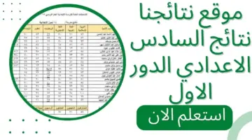 استعلم الآن.. عن نتائج اعتراضات السادس الإعدادي 2024 عبر موقع الوزارة