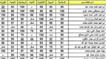 “بالاسم فقط” رابط الاستعلام عن نتائج السادس الاعدادي عبر نتائجنا 2024