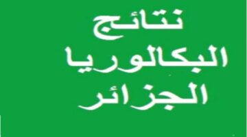 خطوات استخراج نتائج البكالوريا الجزائر 2024 لجميع الولايات برقم التسجيل عبر موقع bac.once.dz