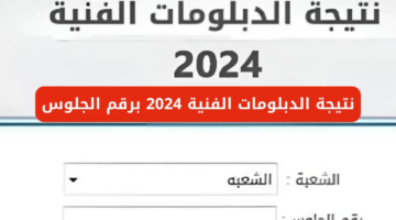 وزارة التربية والتعليم توضح آلية الاستعلام عن نتيجة الدبلومات الفنية 2024 برقم الجلوس