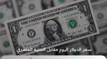 سعر الدولار اليوم مقابل الجنيه المصري الاثنين 5 أغسطس 2024 في البنك المركزي المصري