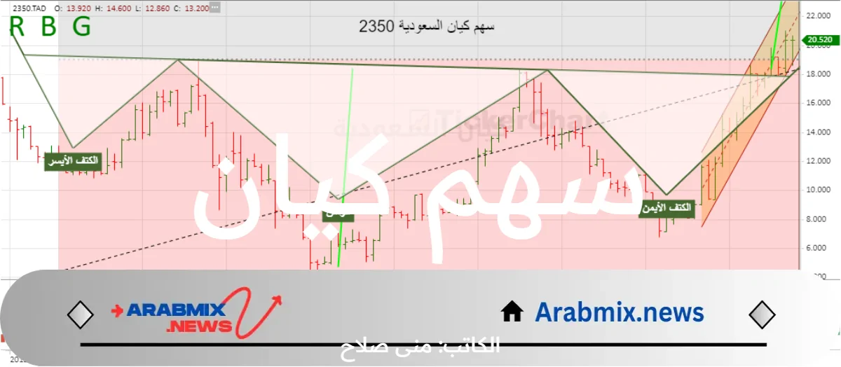 الرياض المالية تعلن خفض سهم كيان 2350 .. وتوقعات سلبية بمؤشرات أغسطس 2024