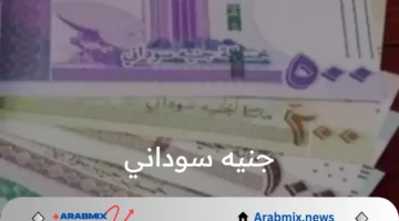 استقرار ملحوظ .. سعر صرف جنيه سوداني اليوم الاثنين 19 آب 2024 أمام الريال السعودي وجميع العملات