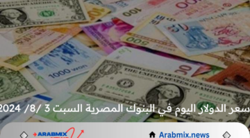 استقرار ملحوظ .. سعر الدولار اليوم في البنوك المصرية السبت 3/ 8 /2024