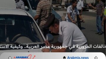 أنواع المخالفات المرورية في جمهورية مصر العربية 2024 وكيفية الاستعلام عنها